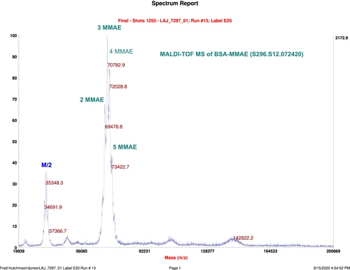 Example MALDI-TOF MS data of BSA-MMAE Conjugate with VC-PAB Linker