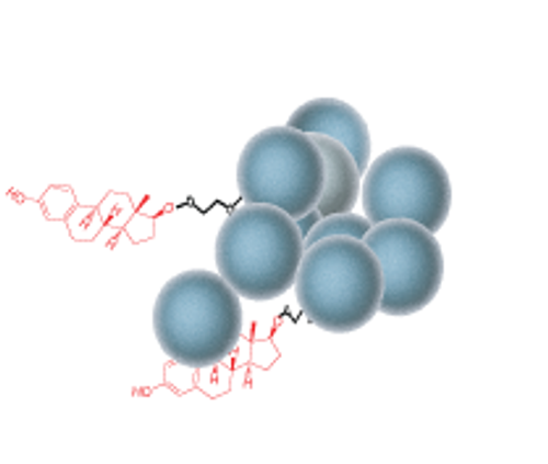 Small molecules immobilized onto agarose beads Small molecules immobilized onto agarose beads
