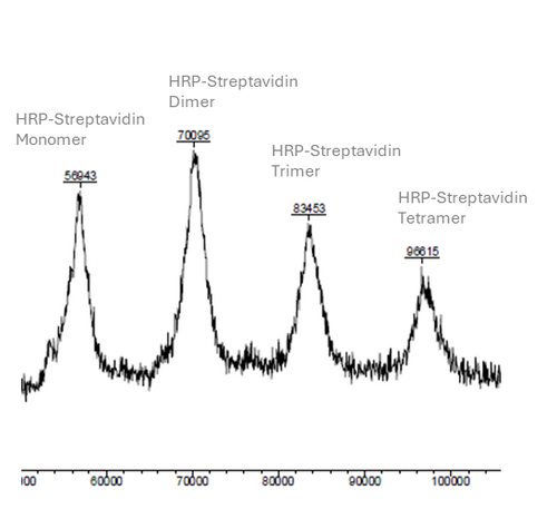 MALDI-TOF MS Example of 1:1 HRP-Streptavidin Conjugate MALDI-TOF MS Example of 1:1 HRP-Streptavidin Conjugate