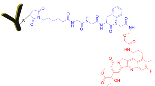 Chemical structure of CM51103 ADC Control hIgG1-Deruxtecan Conjugate. Chemical structure of CM51103 ADC Control hIgG1-Deruxtecan Conjugate.