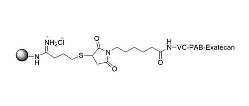 Protein-VC-PAB-Exatecan Conjugate Protein-VC-PAB-Exatecan Conjugate