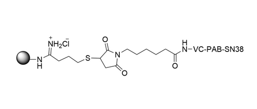 Protein-VC-PAB-SN38 Structure Protein-VC-PAB-SN38 Structure