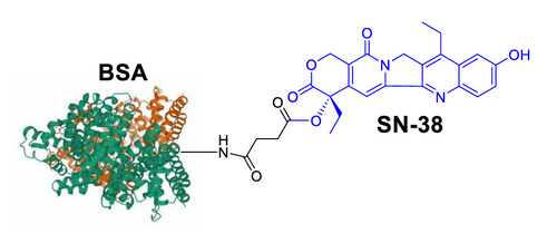 CM52149: BSA-SN38 Conjugate Structure CM52149: BSA-SN38 Conjugate Structure