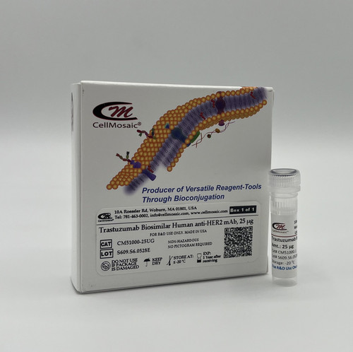 25 ug aliquot of Trastuzumab (CM51000-25UG)