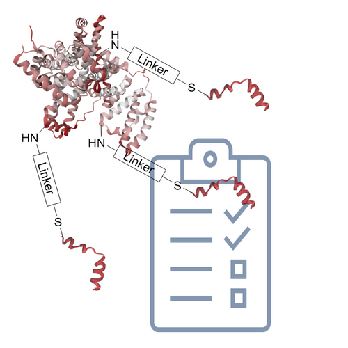 Routine BSA-Peptide Conjugation