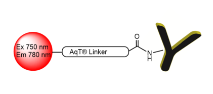 AqT® Fluor 750 labeled Antibody via Surface Amines