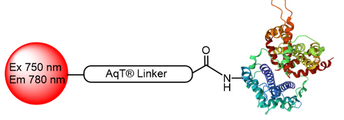 AqT® Fluor 750 Protein Labeling Kit (Surface Amines)
