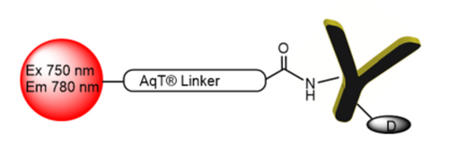 AqT® Fluor 750 labeled Antibody-Drug Conjugate (ADC) via Surface Amines