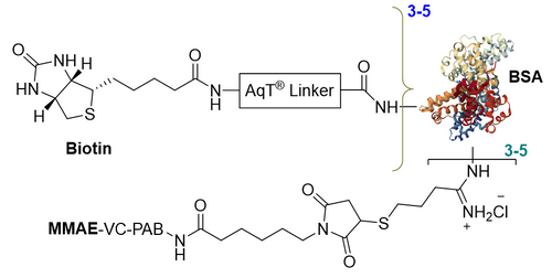 AqT® Biotinylated BSA-MMAE Structure