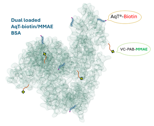 AqT® Biotinylated BSA-MMAE Cartoon