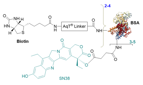 Chemical structure of CM86158 AqT® Biotinylated BSA-SN38 conjugate