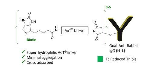CM86175 AqT® Biotin Goat Anti-Rabbit IgG (H+L), Cross-Adsorbed Chemical Structure