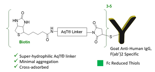 Chemical Structure of CM86152 AqT® biotinylated goat anti-human IgG, F(ab')2 specific