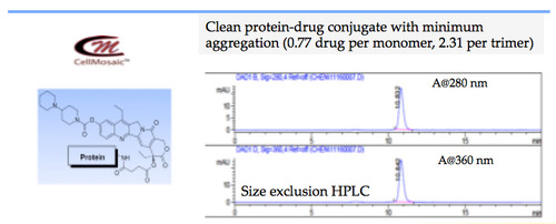Example 1: Synthesis of a protein-drug conjugate