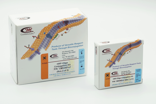 CM53401x1 HRP Oligo Conjugation Kit Boxes (outside only) CM53401x1 HRP Oligo Conjugation Kit Boxes (outside only)