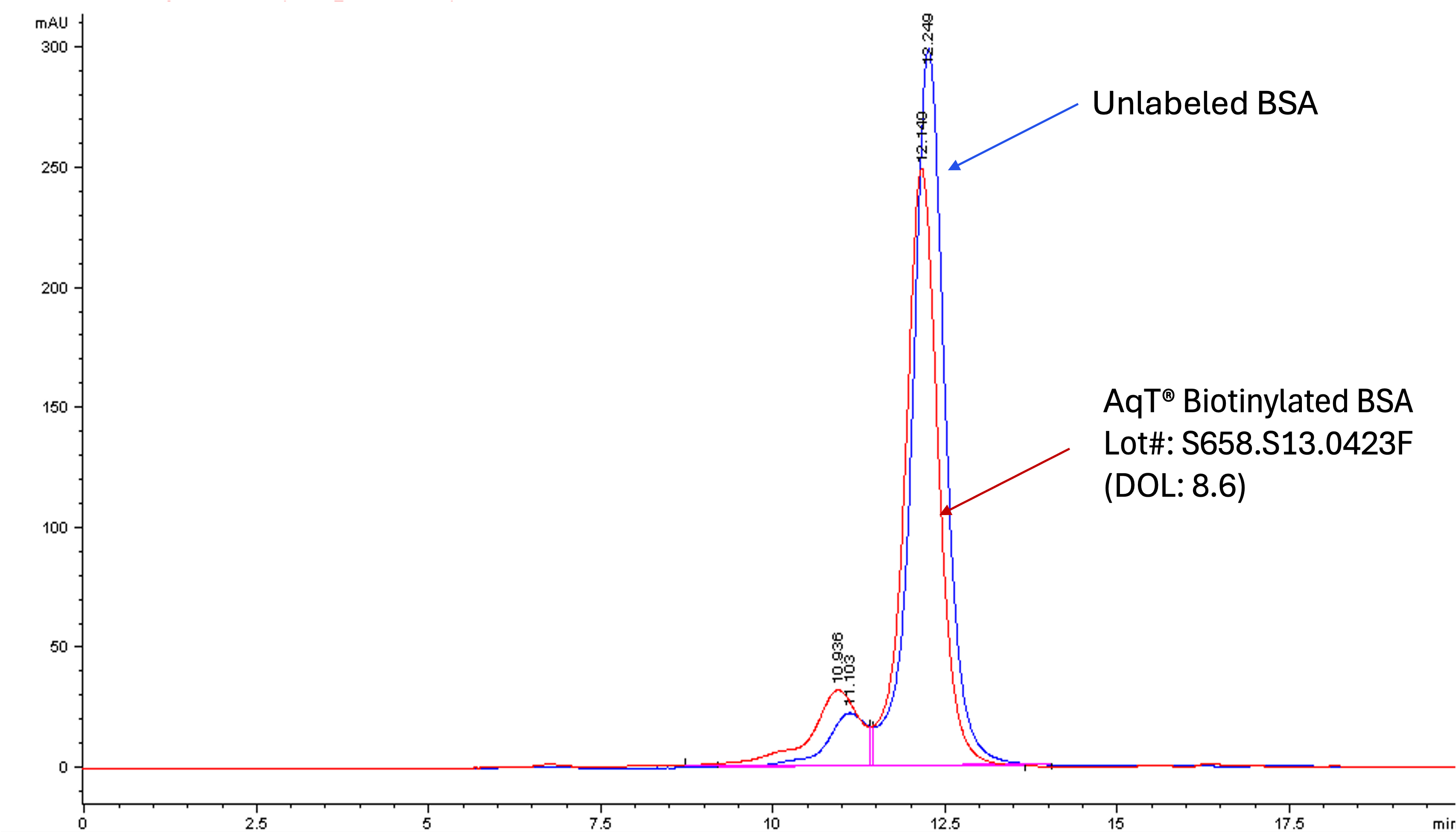 Overlay of SEC HPLC analysis of BSA and AqT biotinylated BSA.