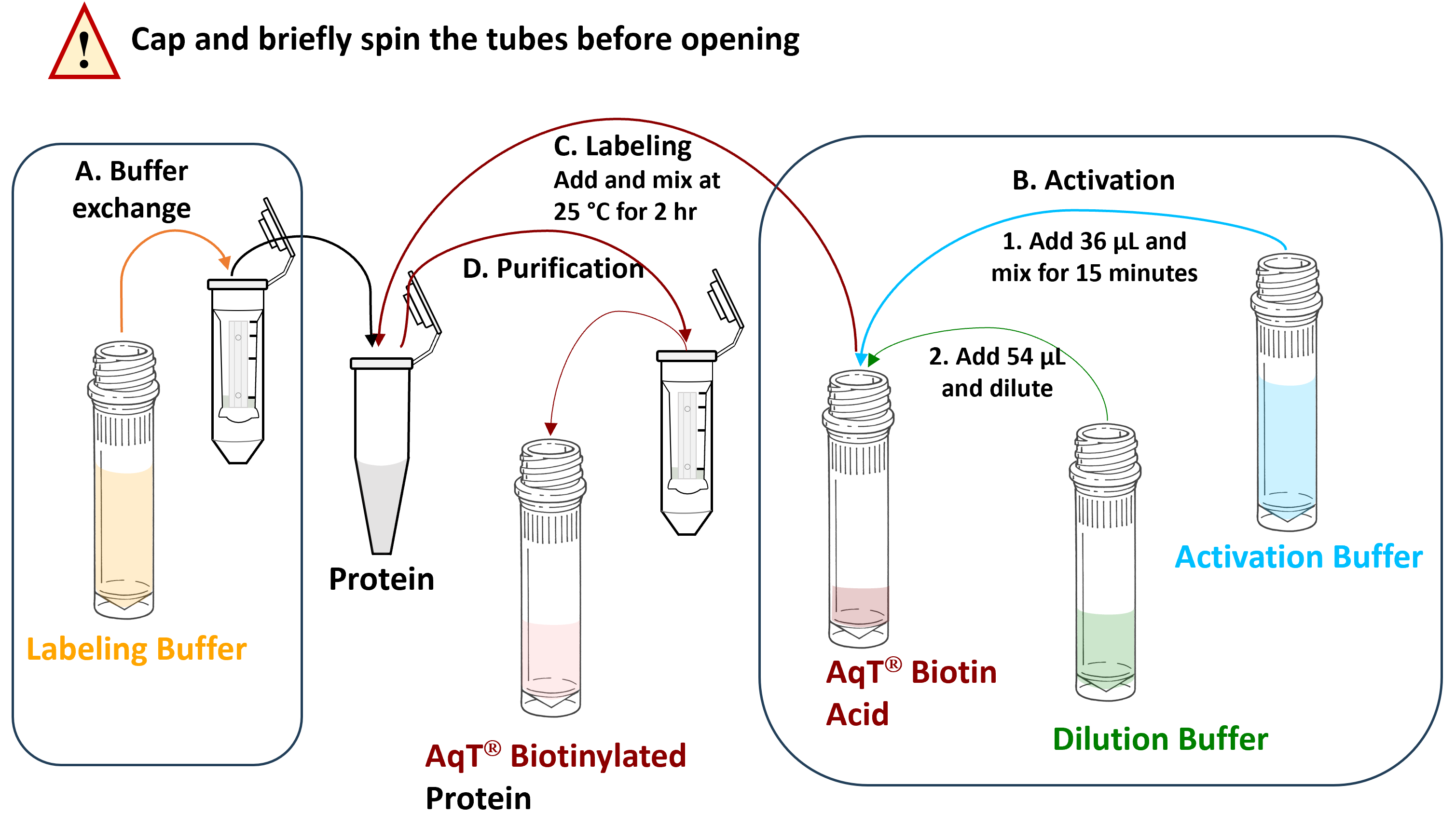 Workflow for CM86256 AqT Fluor 750 protein labeling