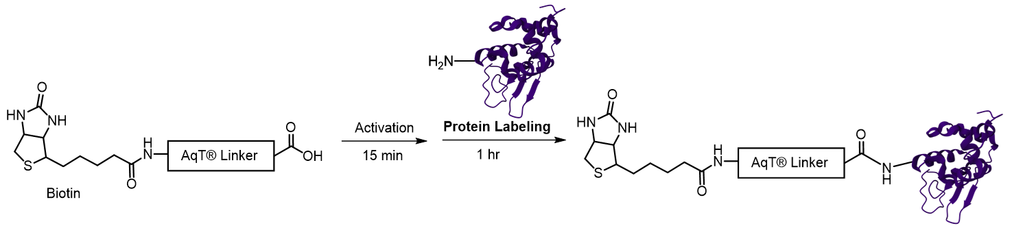 Reaction Scheme 