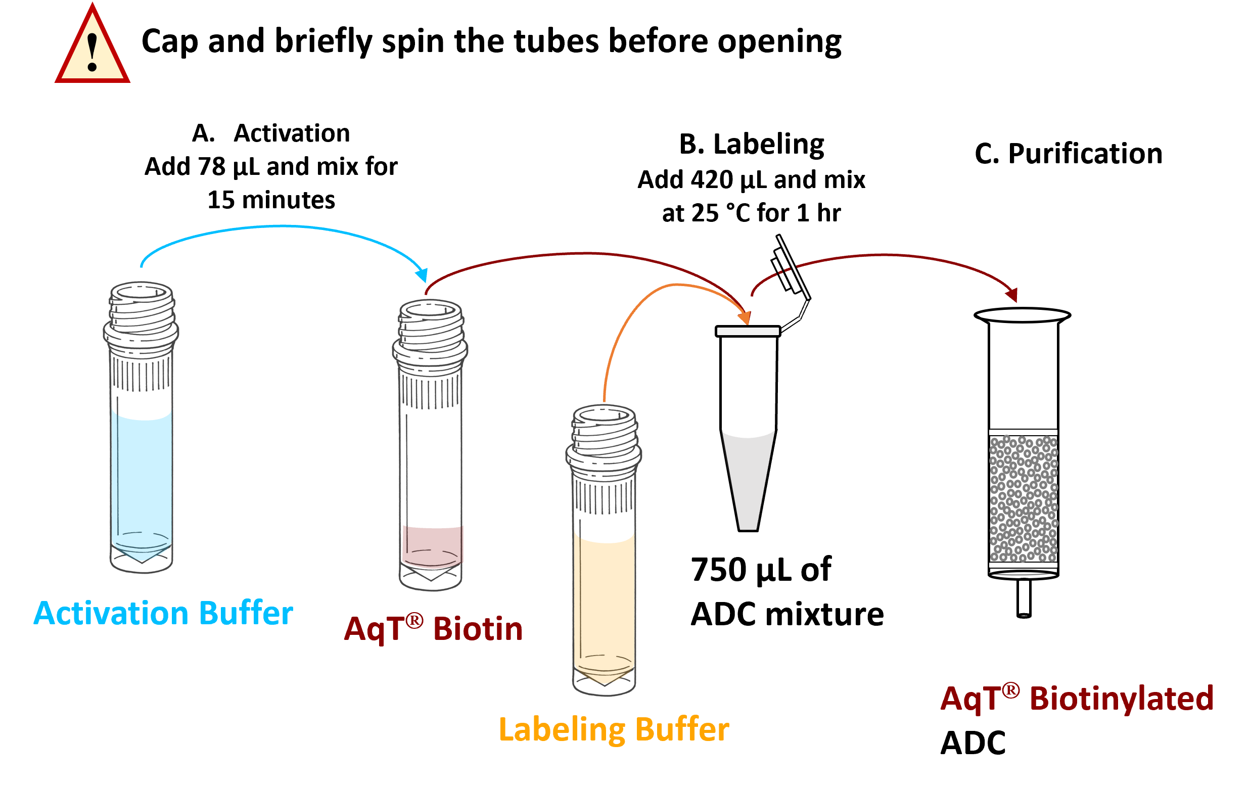 AqT® Biotin ADC Labeling WorkFlow