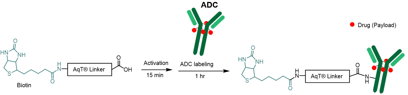 Labeling Chemistry