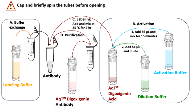 AqT&reg; Digoxigenin Antibody Labeling WorkFlow
