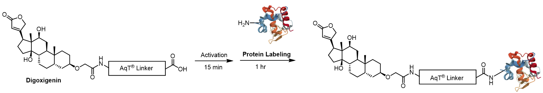 Labeling chemistry