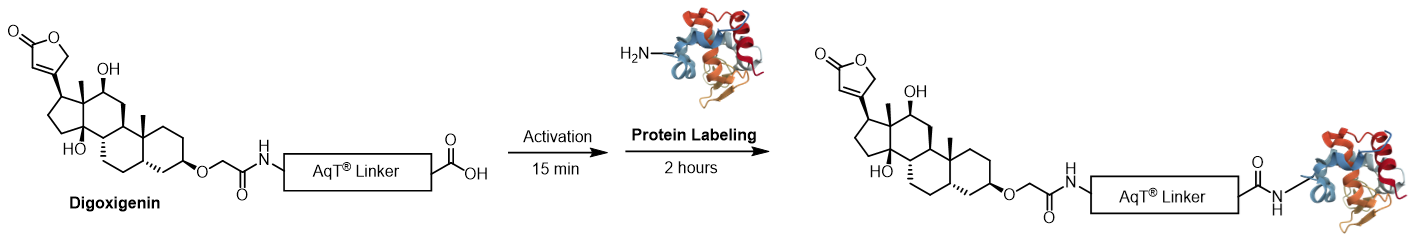 Labeling chemistry