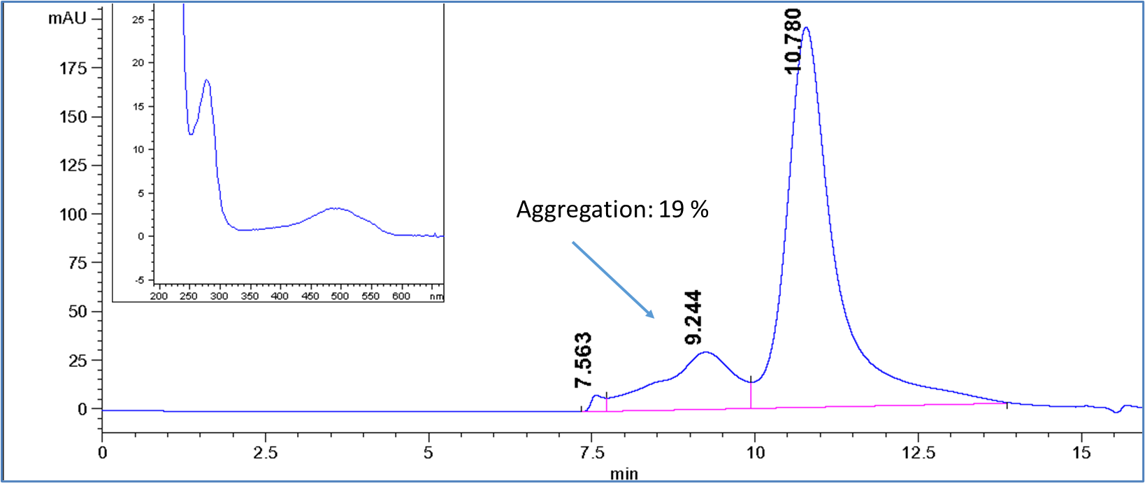 Antibody Doxorubicin Conjugation Example CM11406