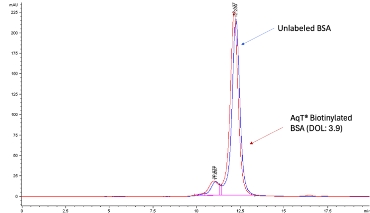 Overlay of SEC HPLC analysis of BSA and AqT biotinylated BSA.