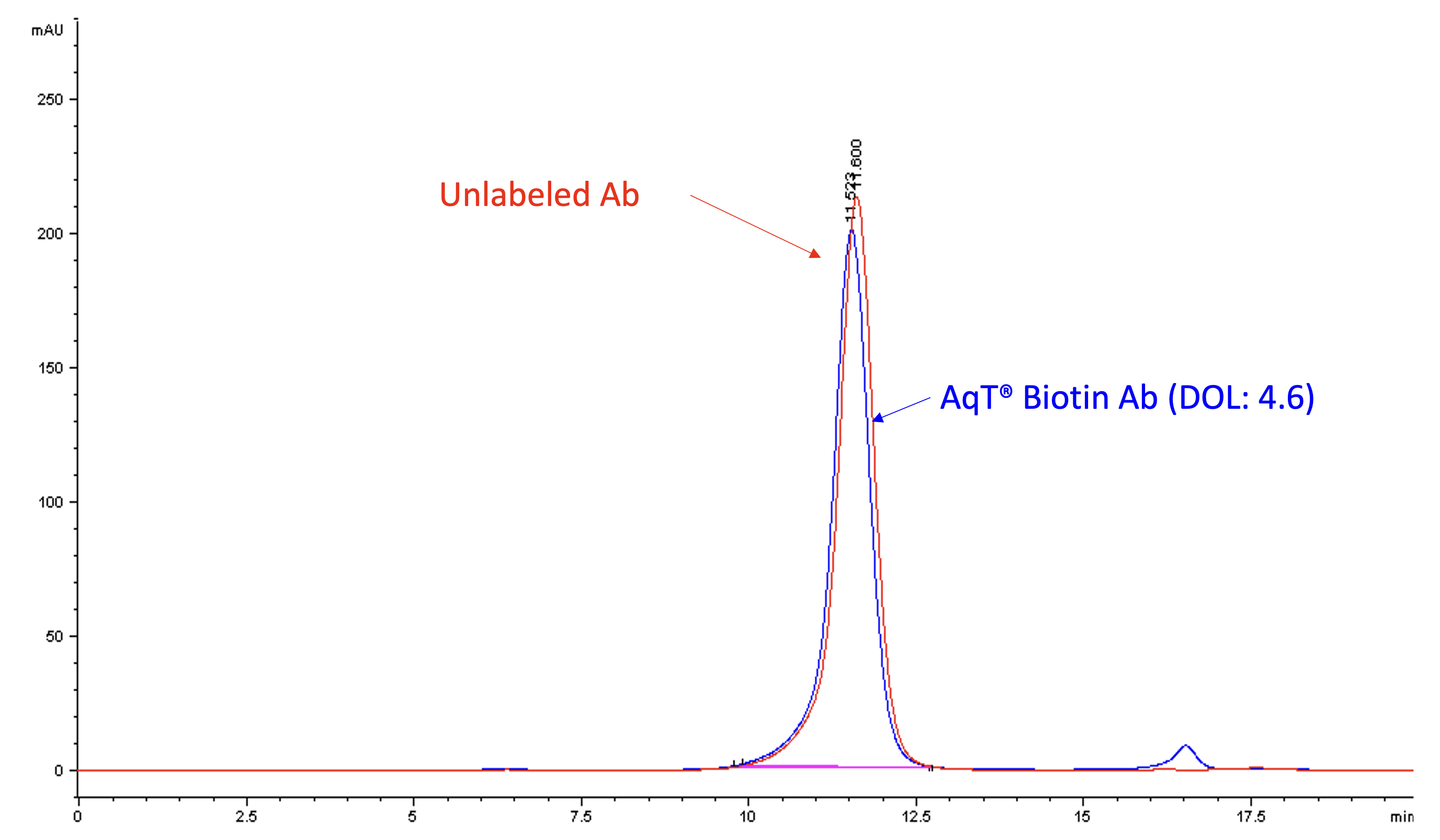 aqt-technology-page-figure6.png Overlayed SEC HPLC profile comparing the apparent MW (hydrodynamic volume) of AqT™ biotinylated antibody with native antibody