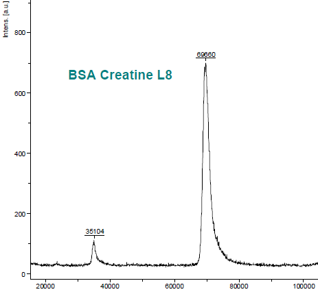Intact Protein MALDI-TOF MS of BSA Creatine L8 Conjugate (Lot#:s6.0809. Number of Creatine molecules: 12.7)
