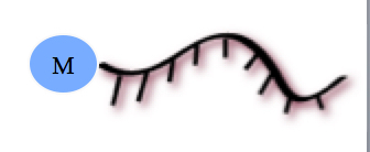 Oligo Based Drug Conjugate