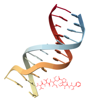 Oligo Based Drug Conjugate
