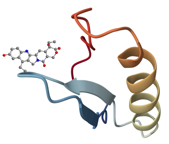 Peptide Small Molecule Drug Conjugate