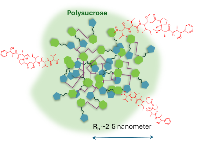 Polymer Small Molecule Drug Conjugate
