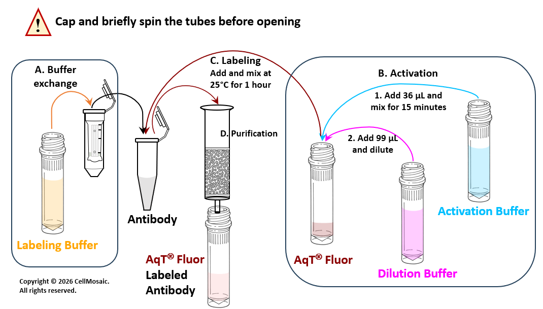 AqT&reg; Fluor 750 Antibody Labeling WorkFlow