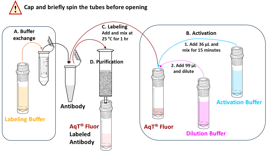 AqT® Fluor 750 Antibody Labeling WorkFlow