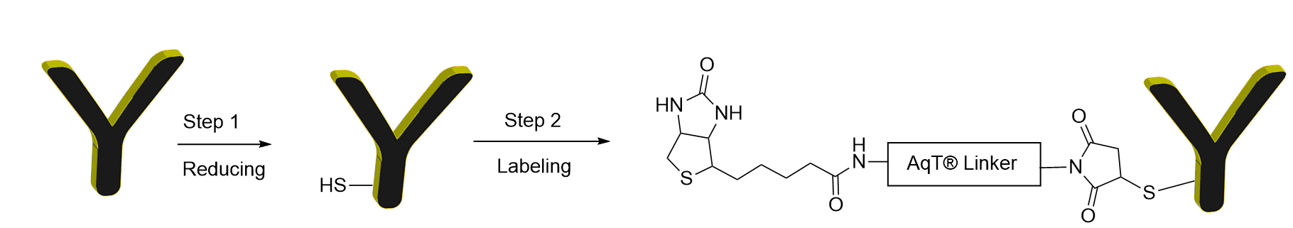 Labeling chemistry for AqT biotin site-specific labeling kit CM86141