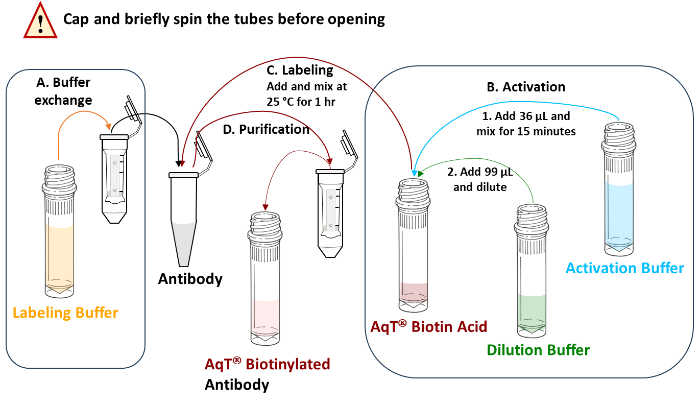 Protocol of CM86144 AqT Antibody Biotinylation Kit