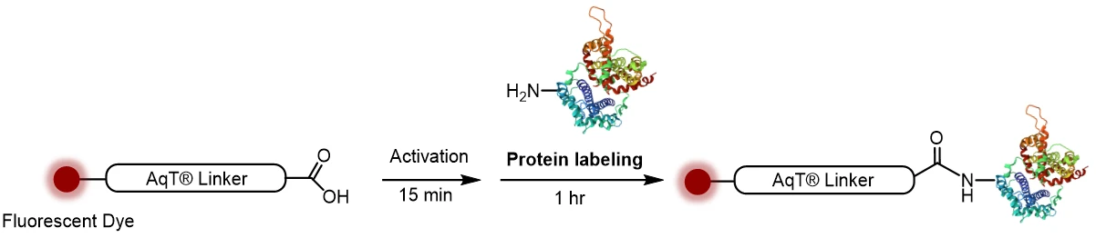 86256 Labeling cehmistry