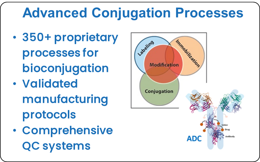 CellMosaic Advanced Conjugation Processes