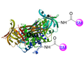 Example Chemical structure for Ova small acid conjugates generated using CM52419 PerKit™ Ova Small Molecule Acid Conjugation Kit