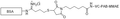 Chemical Structure of BSA-MMAE Conjugate with VC-PAB (valine-citruline p-aminobenzylcarbamate) cathepsin B Cleavable Linker