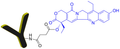 Chemical structure of ADC Control hIgG1-SN38 Conjugate.