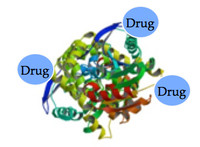 Protein Small Molecule Drug Conjugate