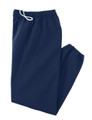 Gym Navy Sweat Pants