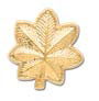 Deputy Inspector Insignia's