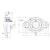 UCFL202 - FYH Oval Flanged Bearing Unit - 15mm Inside Diameter