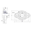 UCFL205-15 - FYH Oval Flanged Bearing Unit - 15/16 Inch Inside Diameter