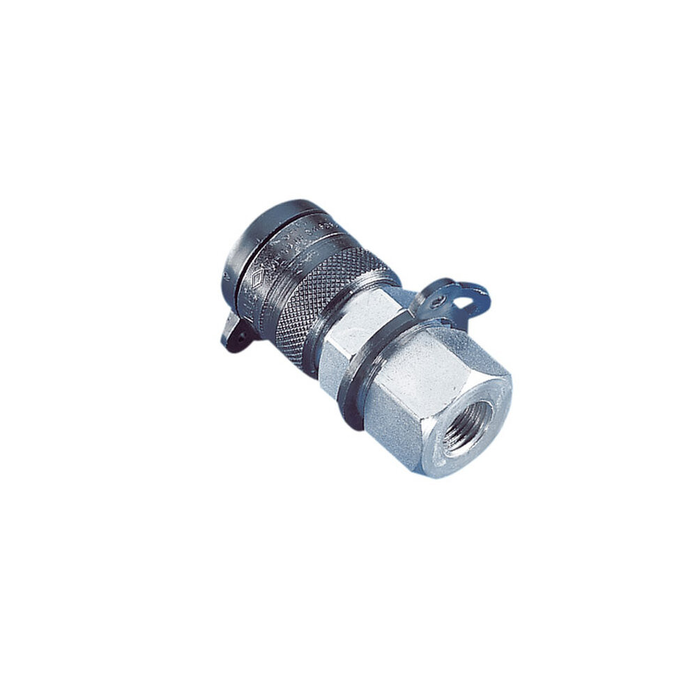 729831A - SKF Quick Connecting Coupling and Nipple